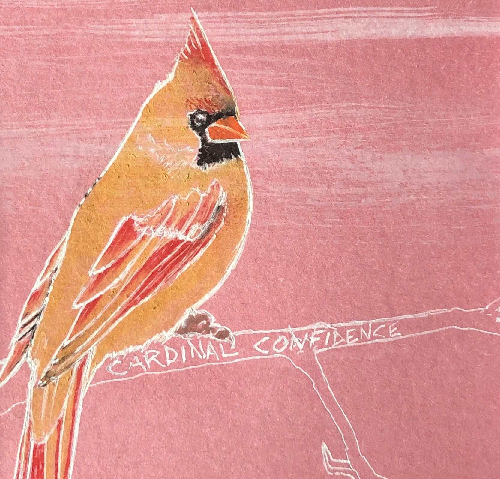 Cardinal Confidence: A Passion Project